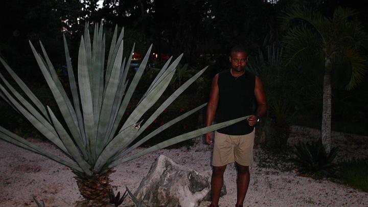 Mexico 2002-46.jpg - MINOLTA DIGITAL CAMERA